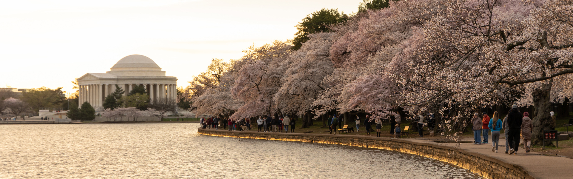 Tidal Basin Development Concept Plan