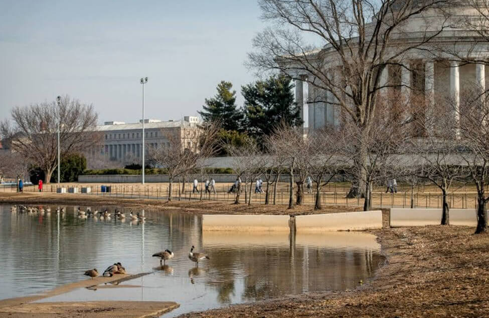 News Story Tidal Basin Ideas Lab A Call to Action